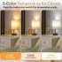 TECHLUX Lamp with 3 Color Temperatures - 3000/4000/5000K Small Lamp, Nightstand Lamp with 3 Color Modes by Pull Chain, Bedroom Lamp for Living Read Work